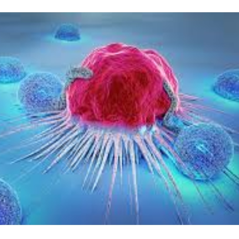 Japón: NMN resiste la senescencia de células inmunes e inhibe el 71,4% del crecimiento tumoral